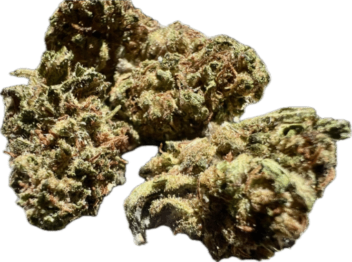 Ripkitty Legendary Kush CBD Hemp Flowers