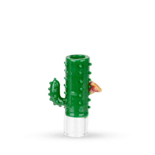 Stundenglass Hose Tip Cactus