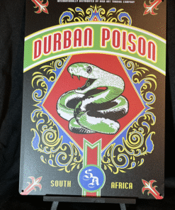 Durban Poison Strain Art 12" x 18" Printed Aluminum Sign
